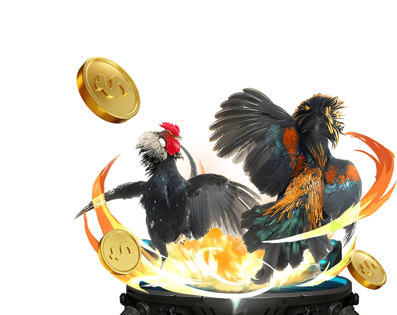 Các loại hình cược đá gà